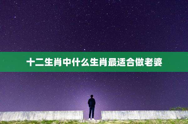 十二生肖中什么生肖最适合做老婆