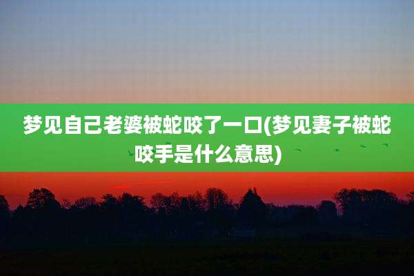 梦见自己老婆被蛇咬了一口(梦见妻子被蛇咬手是什么意思)