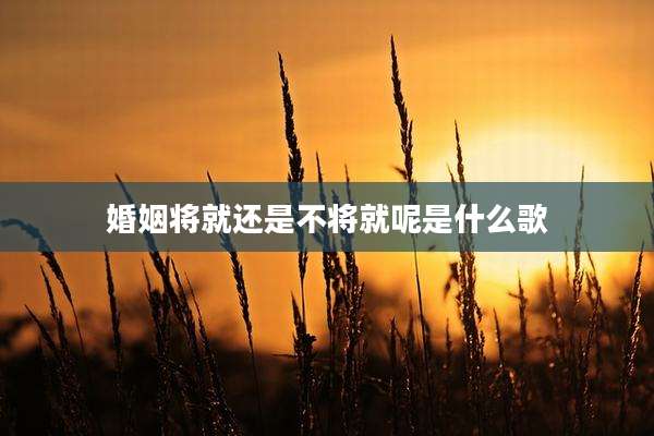 婚姻将就还是不将就呢是什么歌