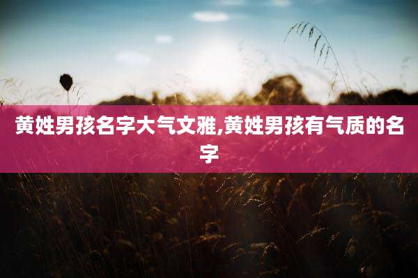 黄姓男孩名字大气文雅,黄姓男孩有气质的名字