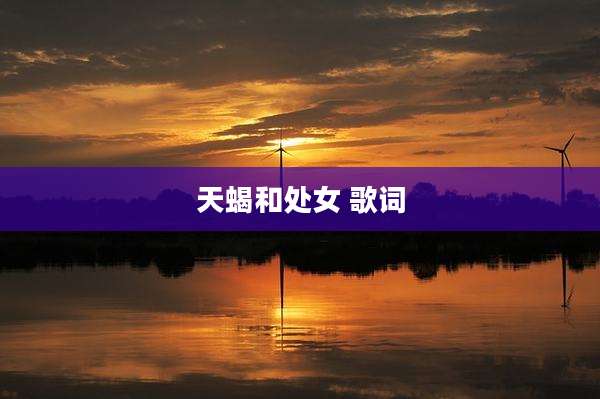 天蝎和处女 歌词