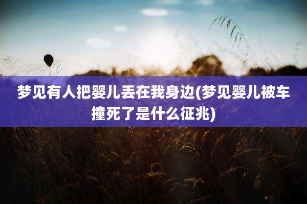 梦见有人把婴儿丢在我身边(梦见婴儿被车撞死了是什么征兆)