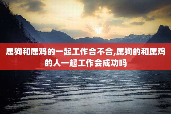 属狗和属鸡的一起工作合不合,属狗的和属鸡的人一起工作会成功吗