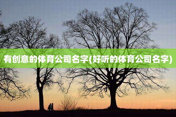 有创意的体育公司名字(好听的体育公司名字)