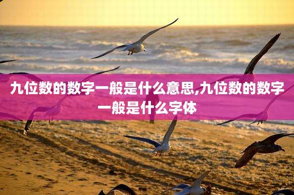 九位数的数字一般是什么意思,九位数的数字一般是什么字体
