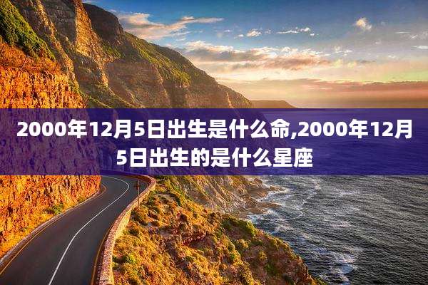 2000年12月5日出生是什么命,2000年12月5日出生的是什么星座