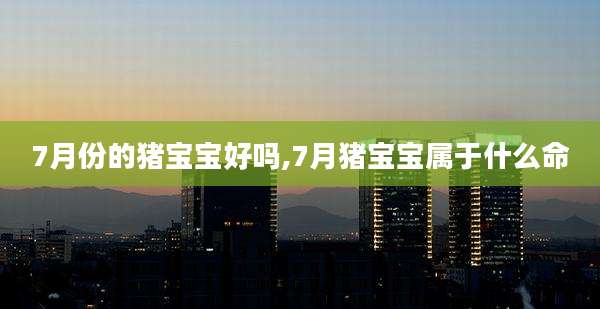 7月份的猪宝宝好吗,7月猪宝宝属于什么命