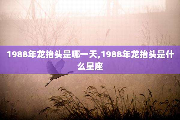 1988年龙抬头是哪一天,1988年龙抬头是什么星座