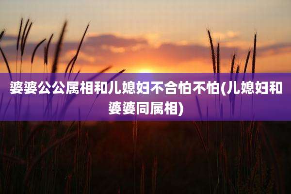 婆婆公公属相和儿媳妇不合怕不怕(儿媳妇和婆婆同属相)