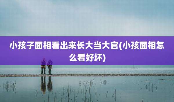 小孩子面相看出来长大当大官(小孩面相怎么看好坏)