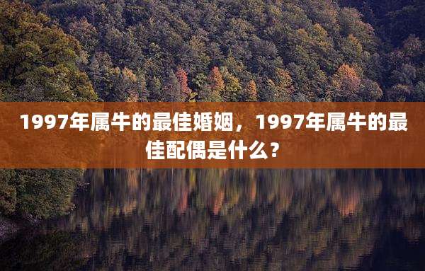 1997年属牛的最佳婚姻,1997年属牛的最佳配偶是什么?