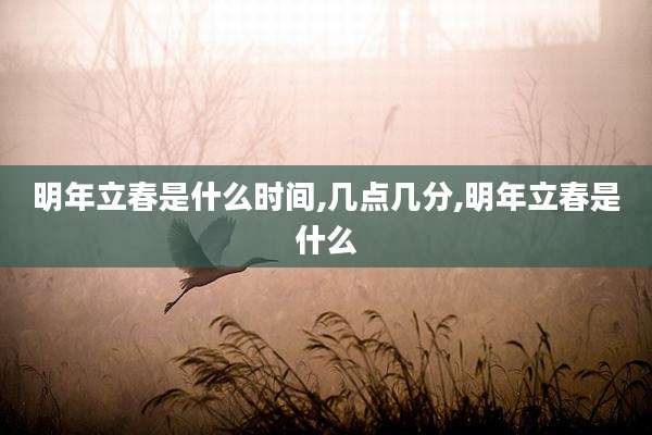 明年立春是什么时间,几点几分,明年立春是什么