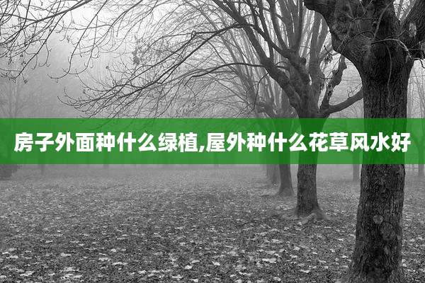 房子外面种什么绿植,屋外种什么花草风水好