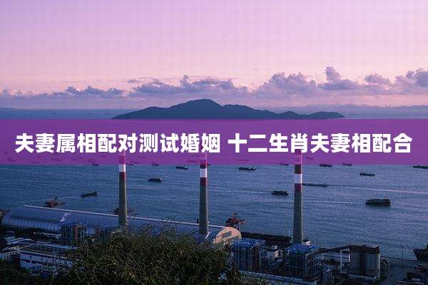 夫妻属相配对测试婚姻 十二生肖夫妻相配合