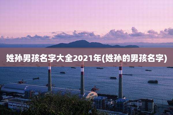 姓孙男孩名字大全2021年(姓孙的男孩名字)