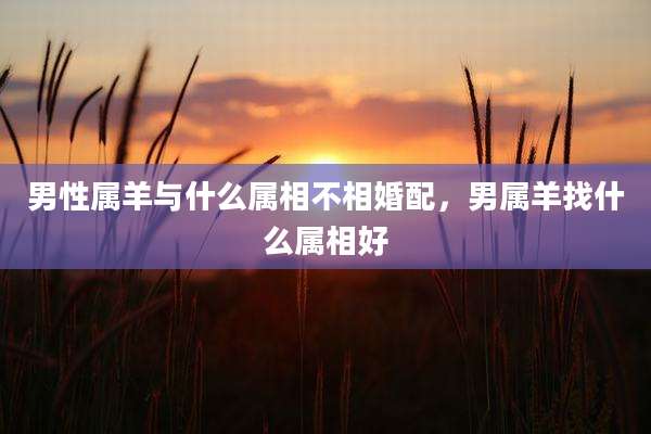 男性属羊与什么属相不相婚配，男属羊找什么属相好