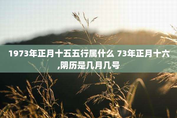 1973年正月十五五行属什么 73年正月十六,阴历是几月几号