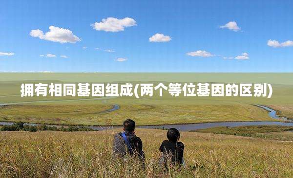 拥有相同基因组成(两个等位基因的区别)
