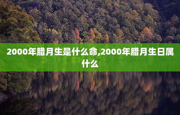 2000年腊月生是什么命,2000年腊月生日属什么