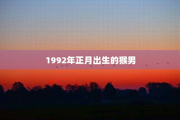 1992年正月出生的猴男