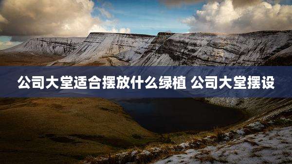 公司大堂适合摆放什么绿植 公司大堂摆设