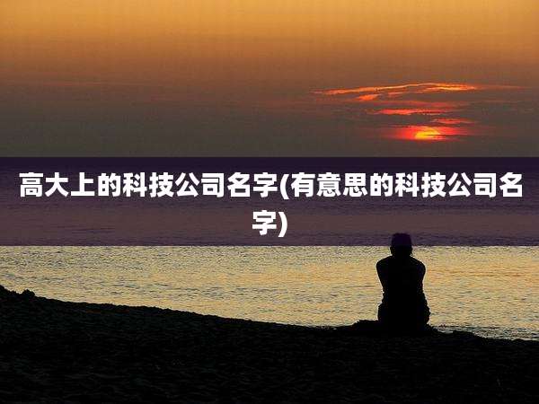 高大上的科技公司名字(有意思的科技公司名字)