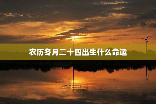 农历冬月二十四出生什么命运