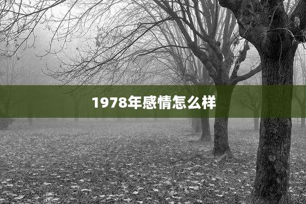 1978年感情怎么样