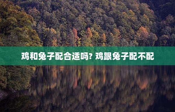 鸡和兔子配合适吗? 鸡跟兔子配不配