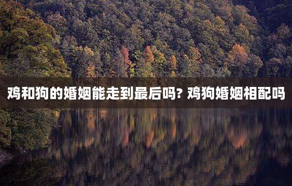 鸡和狗的婚姻能走到最后吗? 鸡狗婚姻相配吗
