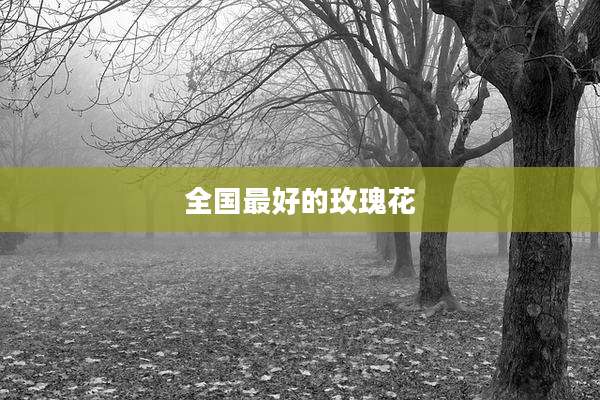 全国最好的玫瑰花