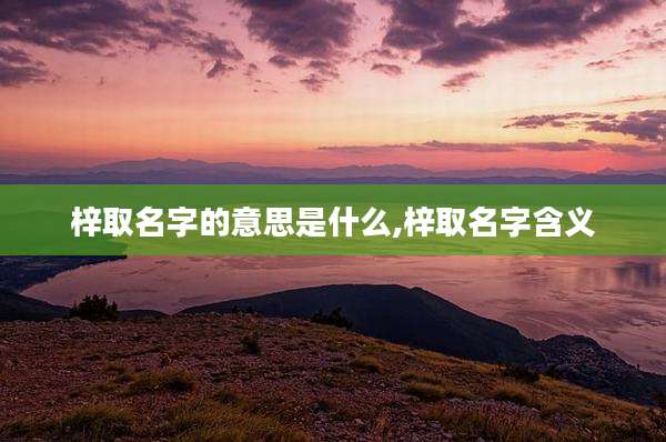 梓取名字的意思是什么,梓取名字含义