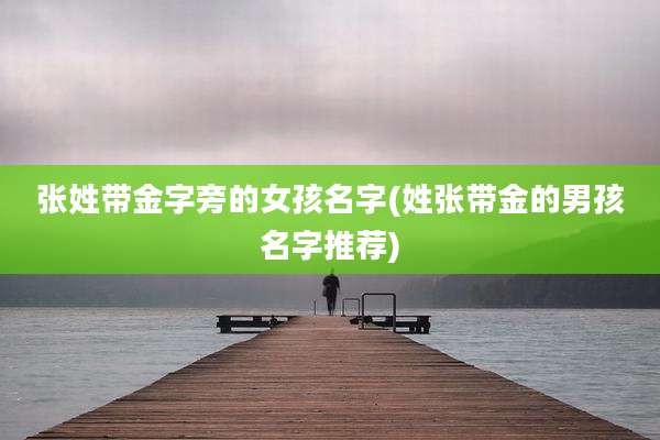 张姓带金字旁的女孩名字(姓张带金的男孩名字推荐)