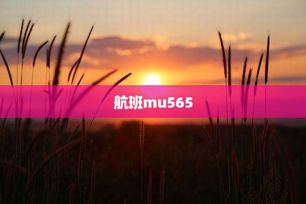 航班mu565