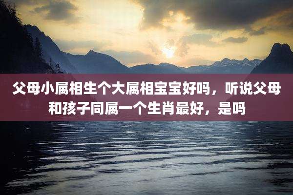 父母小属相生个大属相宝宝好吗,听说父母和孩子同属一个生肖最好,是吗