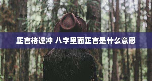 正官格逢冲 八字里面正官是什么意思