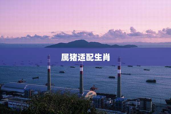 属猪适配生肖