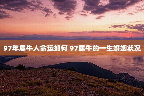 97年属牛人命运如何 97属牛的一生婚姻状况