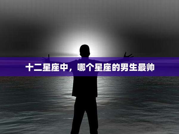 十二星座中,哪个星座的男生最帅