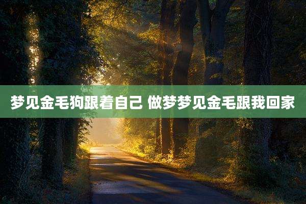 梦见金毛狗跟着自己 做梦梦见金毛跟我回家