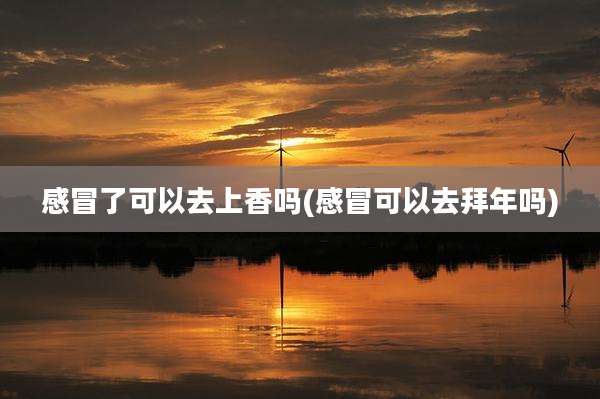 感冒了可以去上香吗(感冒可以去拜年吗)