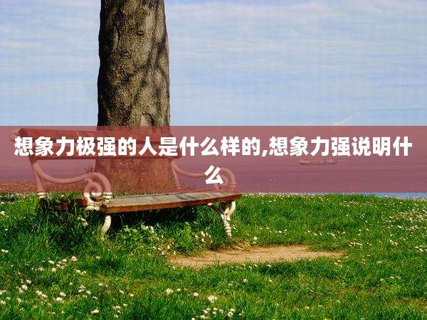 想象力极强的人是什么样的,想象力强说明什么