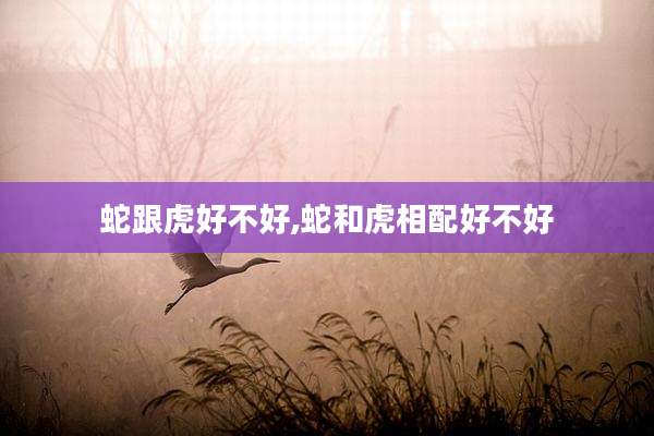 蛇跟虎好不好,蛇和虎相配好不好