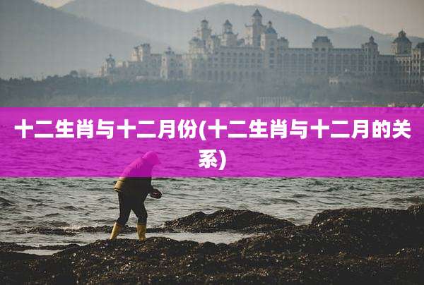 十二生肖与十二月份(十二生肖与十二月的关系)