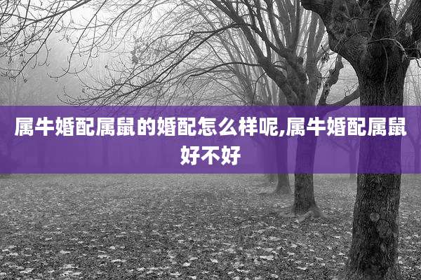 属牛婚配属鼠的婚配怎么样呢,属牛婚配属鼠好不好