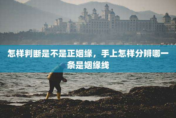 怎样判断是不是正姻缘,手上怎样分辨哪一条是姻缘线