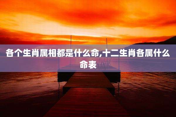 各个生肖属相都是什么命,十二生肖各属什么命表