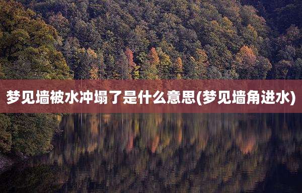 梦见墙被水冲塌了是什么意思(梦见墙角进水)