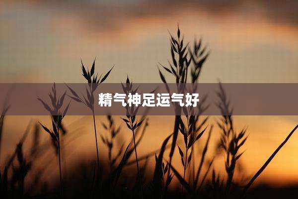 精气神足运气好