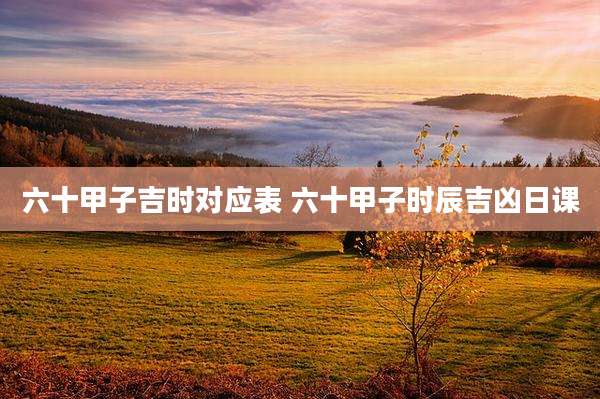 六十甲子吉时对应表 六十甲子时辰吉凶日课